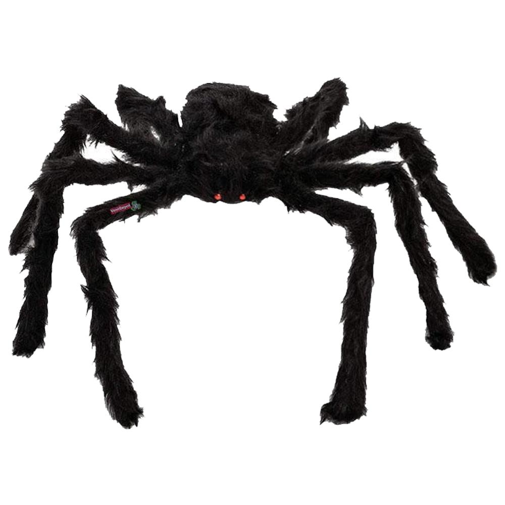 SpiderBoo