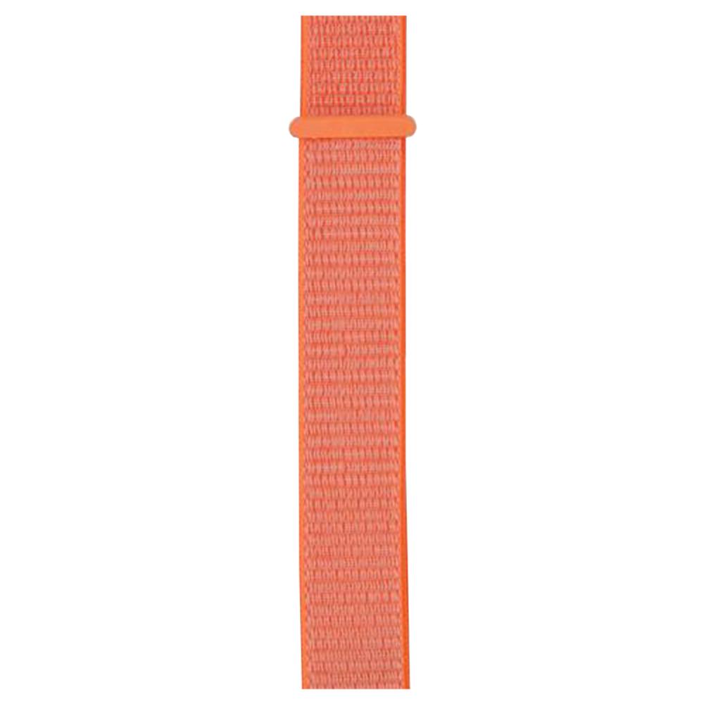 Nylon Loop Collection