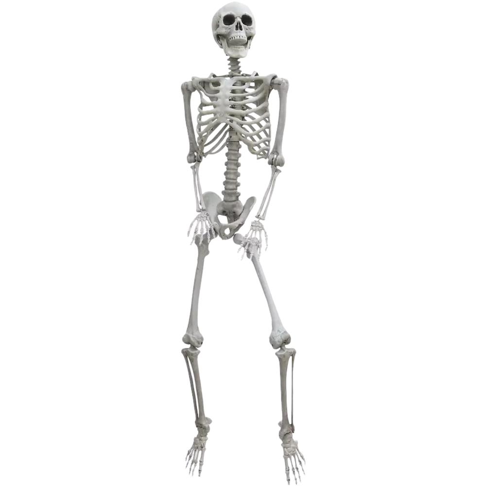 SkeleDecorBig