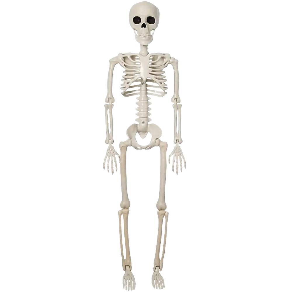 SkeleDecor